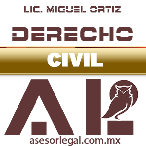 Asesor Legal en México - Derecho Civil